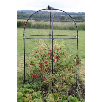 Haxnicks Steel Round Fruit Cage