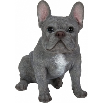 Vivid Arts Real Life Sitting Blue French Bulldog (Size D)