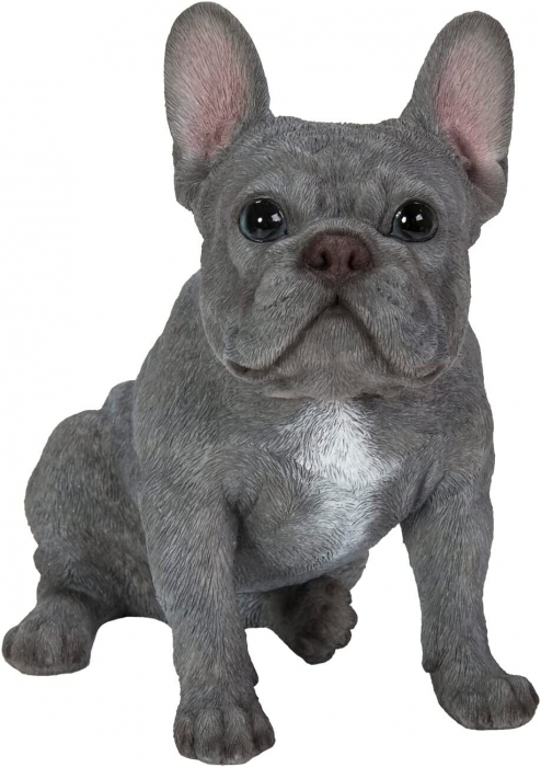 Vivid Arts Real Life Sitting Blue French Bulldog (Size D)