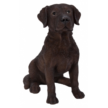 Vivid Arts Real Life Chocolate Labrador (Size D)