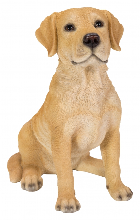 Vivid Arts Real Life Golden Labrador (Size D)