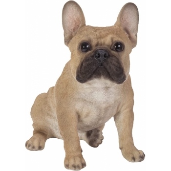 Vivid Arts Real Life Sitting French Golden Bulldog (Size D)