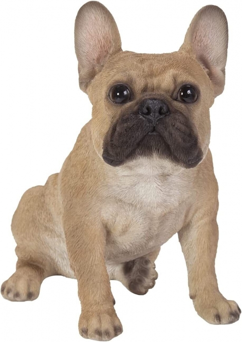 Vivid Arts Real Life Sitting French Golden Bulldog (Size D)