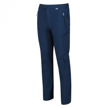 Regatta Mens Highton Polyamide Durable Walking Trousers 30 - Waist 30' (76cm), Inside Leg 29'