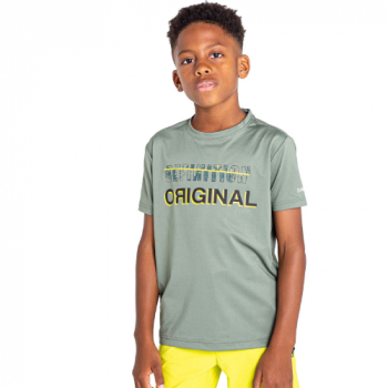 Dare 2b Boys Rightful Lightweight Wicking Graphic T Shirt 5-6 Years - Chest 59-61cm (Height 110-116cm)