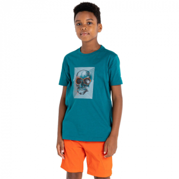 Dare 2B Boys Trailblazer Casual Graphic T Shirt 14 Years- Chest 32-33', (81-85cm)