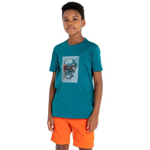 Dare 2B Boys Trailblazer Casual Graphic T Shirt 14 Years- Chest 32-33', (81-85cm)