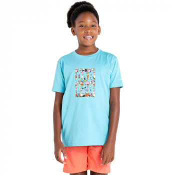 Dare 2B Boys Trailblazer Casual Graphic T Shirt 15-16 Years- Chest 34-35-36', (86-89-92cm)