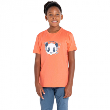 Dare 2B Girls Trailblazer Casual Graphic T Shirt 11-12 Years- Chest 28-31', (71-78cm)