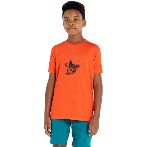 Dare 2B Boys Amuse Casual Graphic T Shirt 5-6 Years- Chest 24', (60cm)