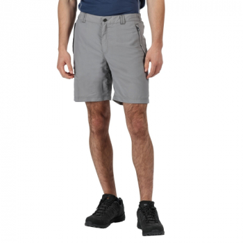 Regatta Mens Leesville II Polyamide Elasticared Shorts 38 - Waist 38' (96.5cm)