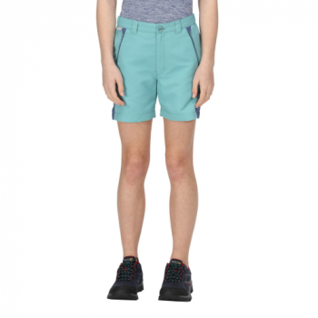 Regatta Boys Sorcer Mountain III Quick Dry Walking Shorts 9-10 Years - Waist 61-64cm (Height 135-140cm)