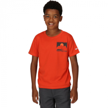 Regatta Boys Alvarado VII Quick Dry Graphic T Shirt 11-12 Years - Chest 75-79cm (Height 146-152cm)