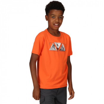 Regatta Boys Alvarado VII Quick Dry Graphic T Shirt 5-6 Years - Chest 59-61cm (Height 110-116cm)