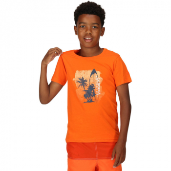 Regatta Boys Bosley VI Short Sleeve Graphic T Shirt 14-15 Years - Chest 86-89cm (Height 164-170cm)