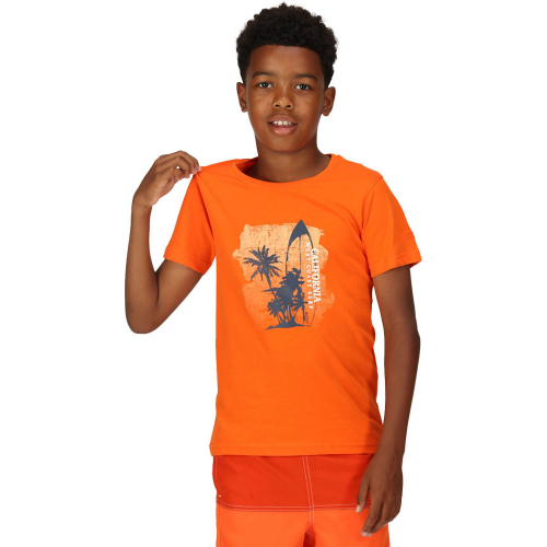 Regatta Boys Bosley VI Short Sleeve Graphic T Shirt 14-15 Years - Chest 86-89cm (Height 164-170cm)