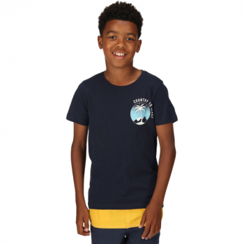 Regatta Boys Bosley VI Short Sleeve Graphic T Shirt 5-6 Years - Chest 59-61cm (Height 110-116cm)