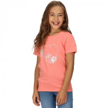 Regatta Girls Bosley VI Short Sleeve Graphic T Shirt 13 Years - Chest 79-83cm (Height 153-158cm)