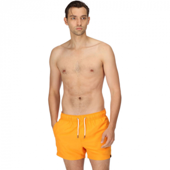 Regatta Mens Mawson III Quick Drying Swimming Shorts 3XL- Waist 46-48', (117-122cm)