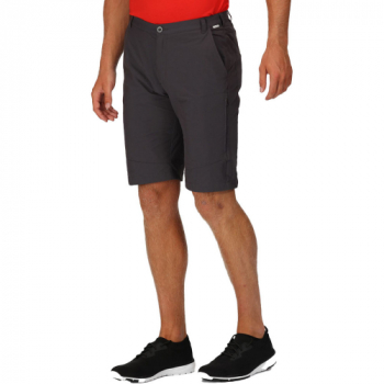 Regatta Mens Highton Active Stretch Durable Long Shorts 34- Waist 34' (86cm)