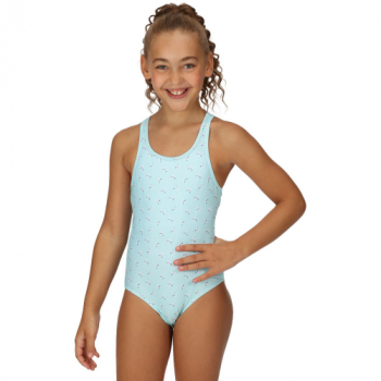 Regatta Girls Katrisse Quick Dry One Piece Swimming Costume 9-10 Years - Waist 61-64cm (Height 135-140cm)