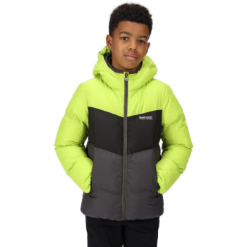 Regatta Boys Lofthouse VI Hooded Padded Coat 14 Years- Chest 34', (86cm)