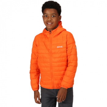 Regatta Boys Junior Hillpack Water Repellent Padded Coat 11-12 Years - Chest 75-79cm (Height 146-152cm)