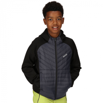 Regatta Boys Kielder Hybrid VI Water Repellent Padded Coat 13 Years- Chest 32', (82cm)