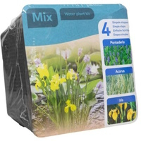 Moerings Waterplants Complete Kit (Trio Plant Mix)