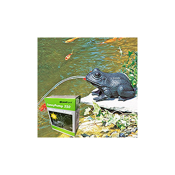 PondXpert Crouching Frog Spitter (Large) & SunnyPump 250