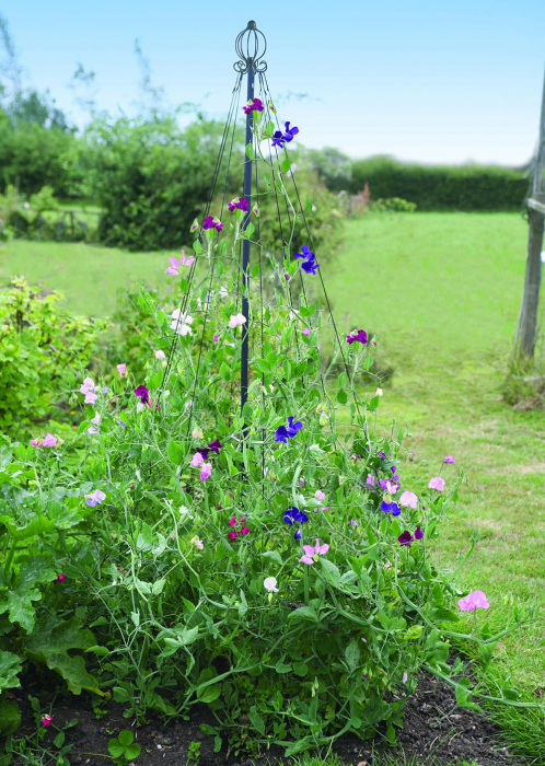 Haxnicks Garden Maypole