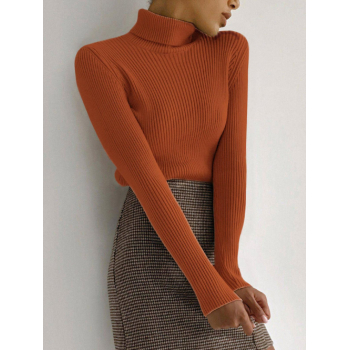 Women Women's Daily Basic Solid Color Ribbed Knit Turtleneck Pullover Layering Slim Sweater Coffee