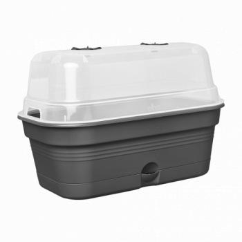 Elho Green Basics All in 1 Large Grow Tray (Living Black)