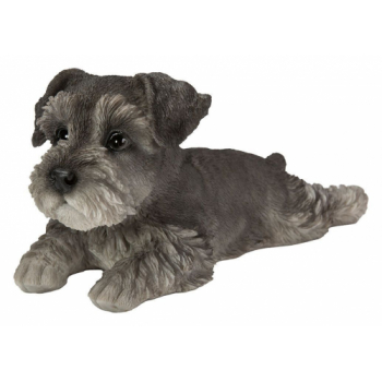 Vivid Arts Laying Schnauzer Puppy (Size F)