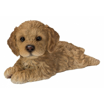 Vivid Arts Laying Brown Cockapoo Puppy (Size F)