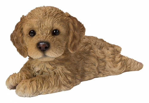 Vivid Arts Laying Brown Cockapoo Puppy (Size F)