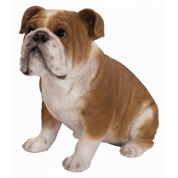 Vivid Arts Real Life Bulldog (Size D)