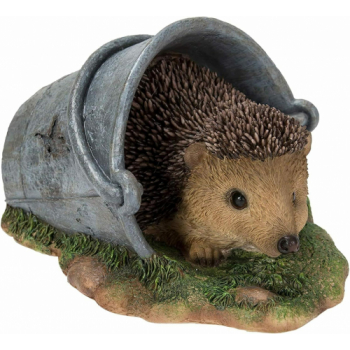 Vivid Arts Real Life Hedgehog in Rusty Pail (Size D)