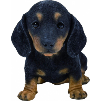 Vivid Arts Black and Brown Dachshund Puppy (Size F)