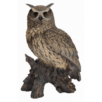 Vivid Arts Real Life Eagle Owl (Size B)