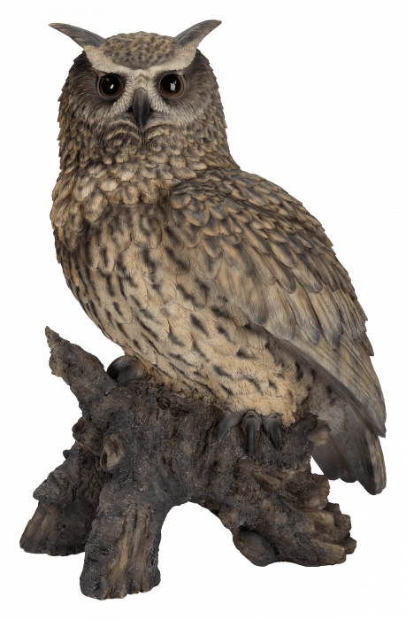 Vivid Arts Real Life Eagle Owl (Size B)