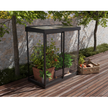 Palram-Canopia Ivy Polycarbonate Greenhouse (Black)