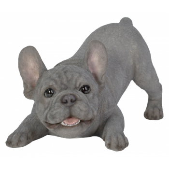 Vivid Arts Active Pups Blue French Bulldog (Size D)