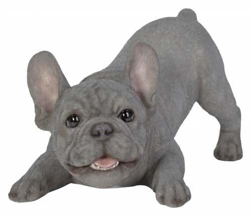 Vivid Arts Active Pups Blue French Bulldog (Size D)