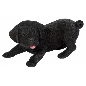 Vivid Arts Active Pups Black Labrador (Size D)