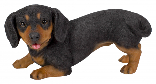 Vivid Arts Active Pups Dachshund (Size D)