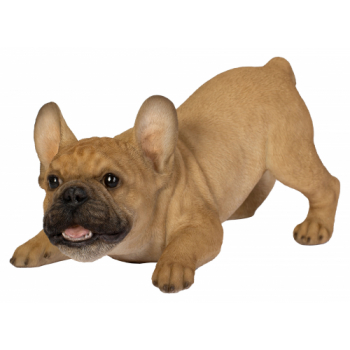 Vivid Arts Active Pups Golden French Bulldog (Size D)