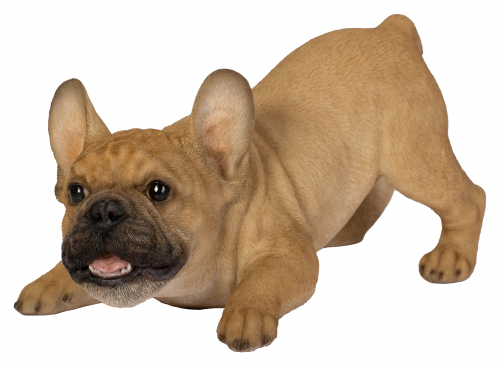 Vivid Arts Active Pups Golden French Bulldog (Size D)