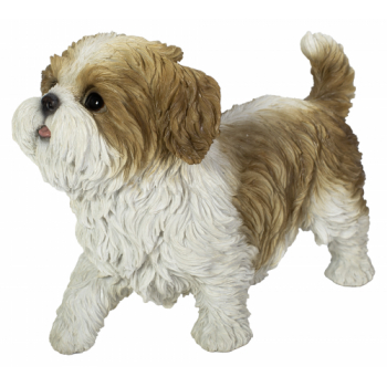 Vivid Arts Active Pups Brown Shihtzu (Size D)