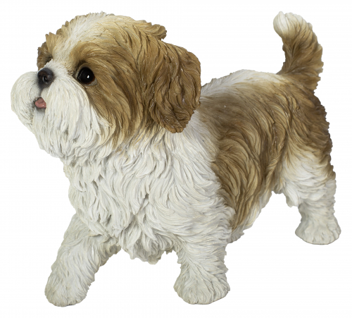 Vivid Arts Active Pups Brown Shihtzu (Size D)